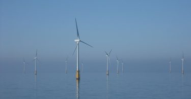 Offshore wind turbines standing in the sea near the coast